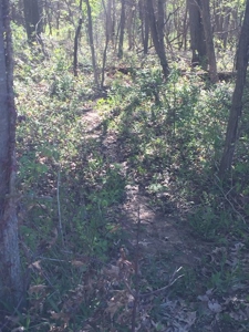 Land Auction - 312 Acres +/- Seneca & Crawford Counties - image 14
