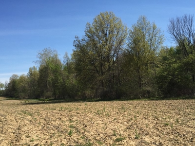 Land Auction - 312 Acres +/- Seneca & Crawford Counties - image 16