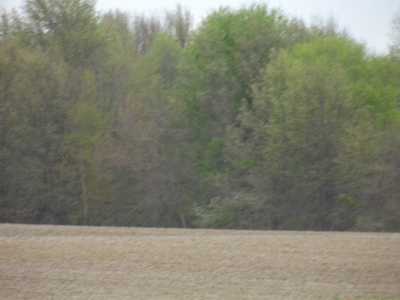 Land Auction - 312 Acres +/- Seneca & Crawford Counties - image 30