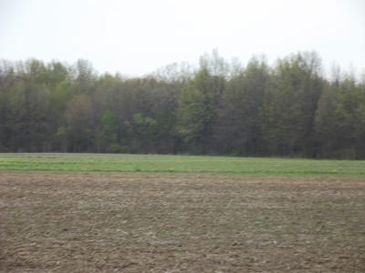 Land Auction - 312 Acres +/- Seneca & Crawford Counties - image 32