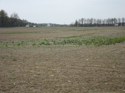 Land Auction - 312 Acres +/- Seneca & Crawford Counties - image 34
