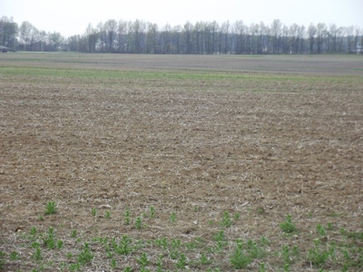 Land Auction - 312 Acres +/- Seneca & Crawford Counties - image 35