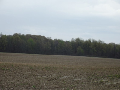 Land Auction - 312 Acres +/- Seneca & Crawford Counties - image 36