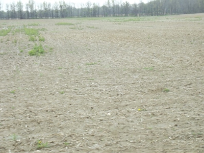 Land Auction - 312 Acres +/- Seneca & Crawford Counties - image 38