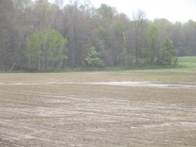 Land Auction - 312 Acres +/- Seneca & Crawford Counties - image 41