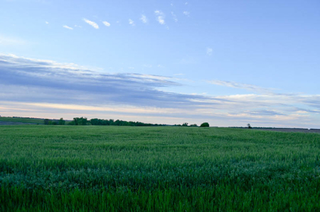 Cloud County, Kansas Farmland Acreage For Sale - image 1