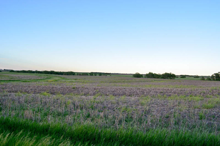 Cloud County, Kansas Farmland Acreage For Sale - image 4