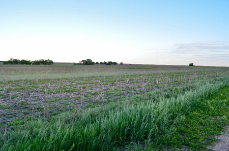 Cloud County, Kansas Farmland Acreage For Sale - image 7