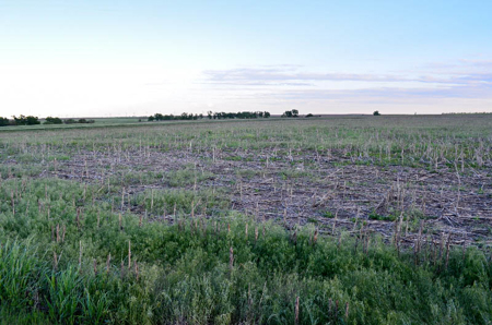 Cloud County, Kansas Farmland Acreage For Sale - image 9