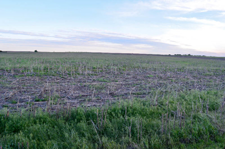 Cloud County, Kansas Farmland Acreage For Sale - image 10