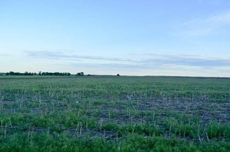 Cloud County, Kansas Farmland Acreage For Sale - image 12