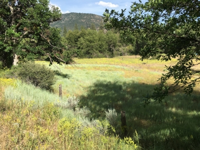 Hand Built Passive Solar Log Home for Sale In Siskiyou Co CA - image 14