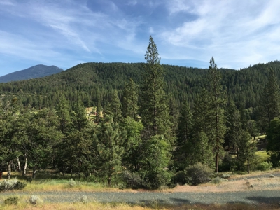 Hand Built Passive Solar Log Home for Sale In Siskiyou Co CA - image 15