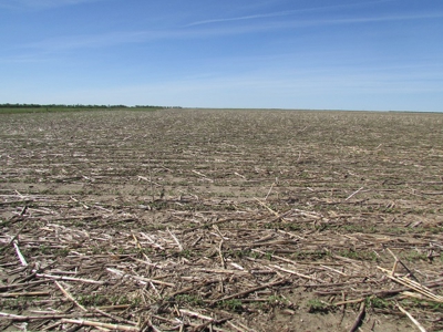 SOLD! $2450 per Acre. Land near Holabird, SD. - image 1