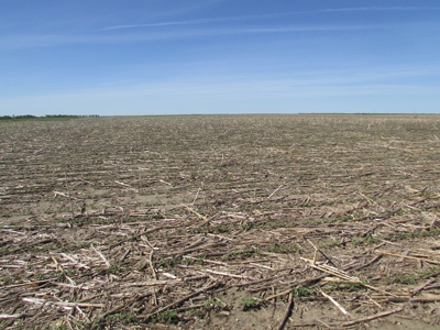 SOLD! $2450 per Acre. Land near Holabird, SD. - image 2