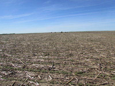 SOLD! $2450 per Acre. Land near Holabird, SD. - image 3