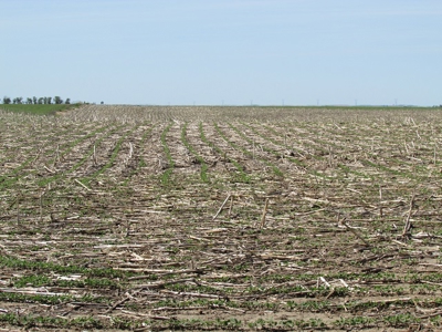 SOLD! $2450 per Acre. Land near Holabird, SD. - image 5