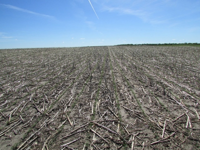 SOLD! $2450 per Acre. Land near Holabird, SD. - image 6