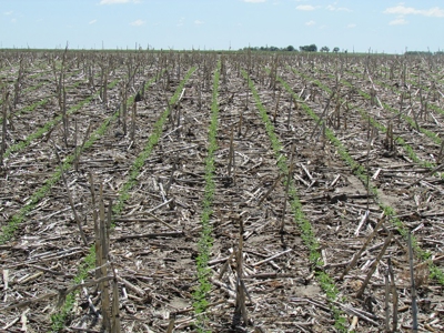 SOLD! $2450 per Acre. Land near Holabird, SD. - image 7