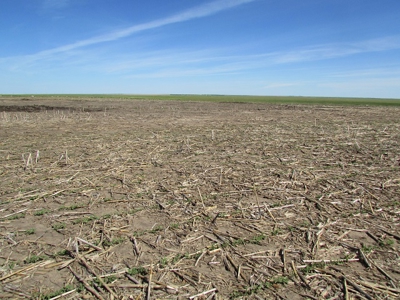 SOLD! $2450 per Acre. Land near Holabird, SD. - image 8