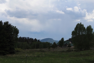 alt=