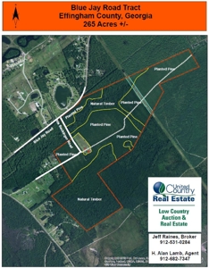 Wooded Acreage For Sale In Effingham County, GA - image 1