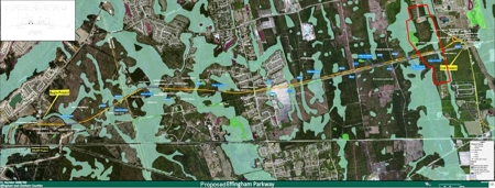 Wooded Acreage For Sale In Effingham County, GA - image 2