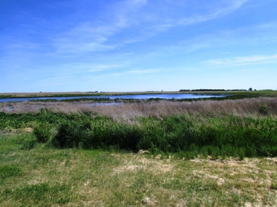 SOLD! $2150 per Acre - image 1