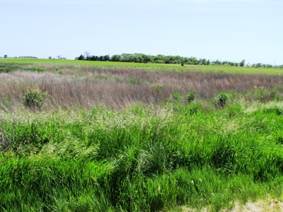SOLD! $2150 per Acre - image 2