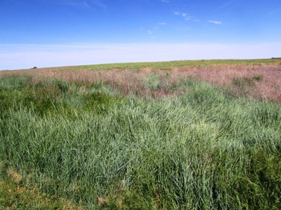 SOLD! $2150 per Acre - image 6