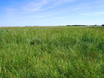SOLD! $2150 per Acre - image 7