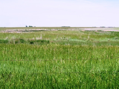 SOLD! $2150 per Acre - image 8