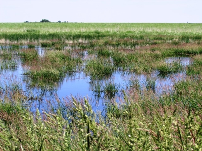 SOLD! $2150 per Acre - image 9