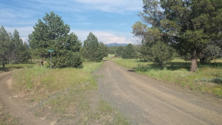 20+/-Acres Vacant Land  Warner  Mountain  Views For Sale - image 2
