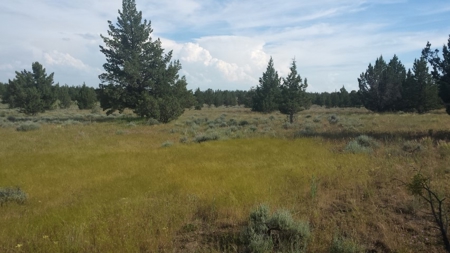 20+/-Acres Vacant Land  Warner  Mountain  Views For Sale - image 9