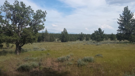 20+/-Acres Vacant Land  Warner  Mountain  Views For Sale - image 10
