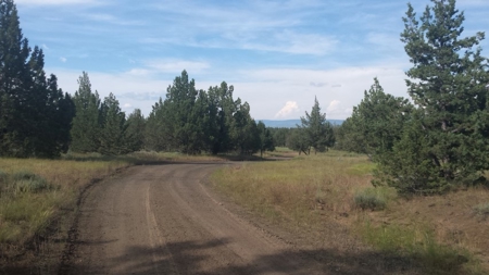 20+/-Acres Vacant Land  Warner  Mountain  Views For Sale - image 11