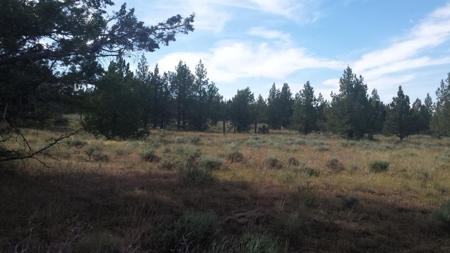 20+/-Acres Vacant Land  Warner  Mountain  Views For Sale - image 12