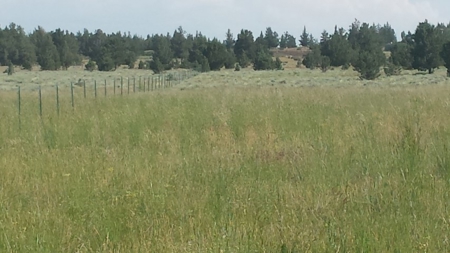 20+/-Acres Vacant Land  Warner  Mountain  Views For Sale - image 13