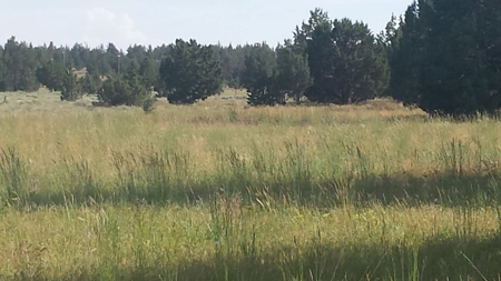 20+/-Acres Vacant Land  Warner  Mountain  Views For Sale - image 14