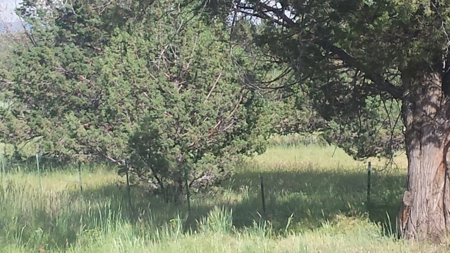 20+/-Acres Vacant Land  Warner  Mountain  Views For Sale - image 15