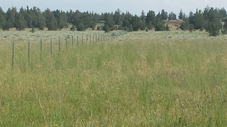 20+/-Acres Vacant Land  Warner  Mountain  Views For Sale - image 16