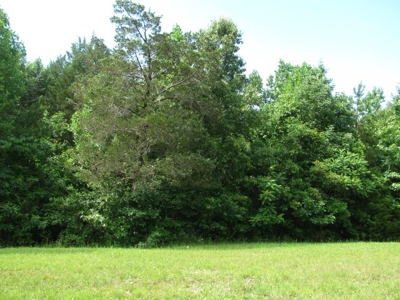 Off The Grid Tn Farm Solar Power, Barn, Cottage, Well, Pond - image 5
