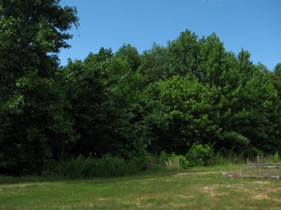 Off The Grid Tn Farm Solar Power, Barn, Cottage, Well, Pond - image 13