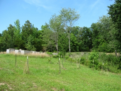 Off The Grid Tn Farm Solar Power, Barn, Cottage, Well, Pond - image 19