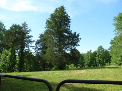 Off The Grid Tn Farm Solar Power, Barn, Cottage, Well, Pond - image 20