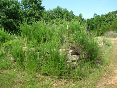 Off The Grid Tn Farm Solar Power, Barn, Cottage, Well, Pond - image 25