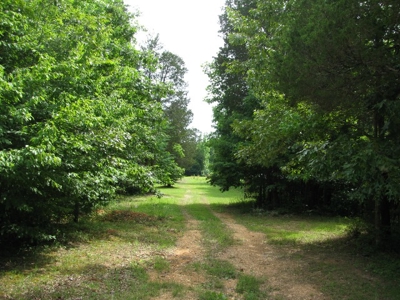 Off The Grid Tn Farm Solar Power, Barn, Cottage, Well, Pond - image 26