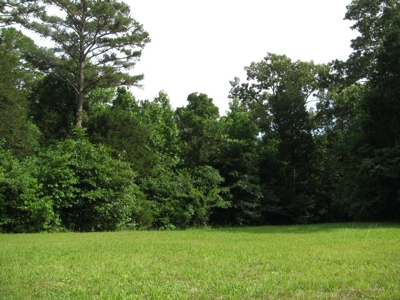 Off The Grid Tn Farm Solar Power, Barn, Cottage, Well, Pond - image 28