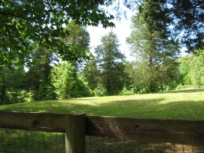 Off The Grid Tn Farm Solar Power, Barn, Cottage, Well, Pond - image 31